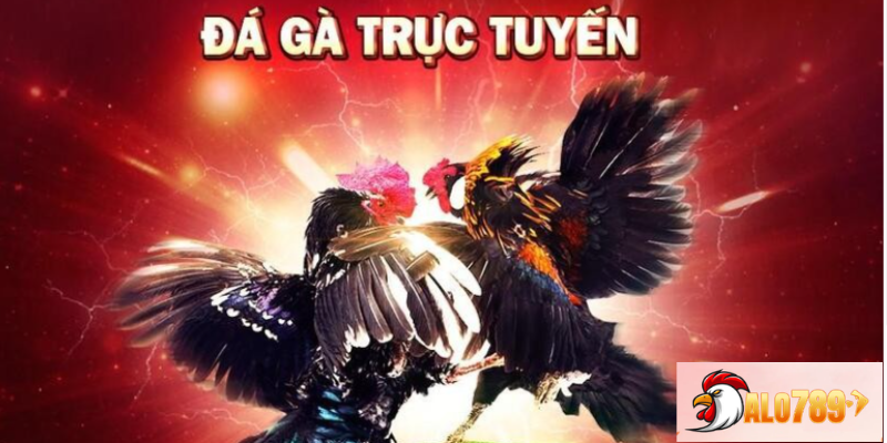 Đá gà Alo789